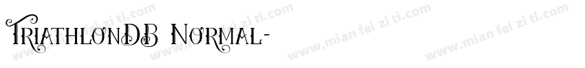 TriathlonDB Normal字体转换